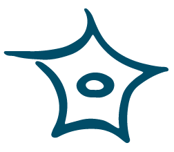 Lutte contre la désinformation