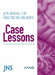 Case Lessons cover